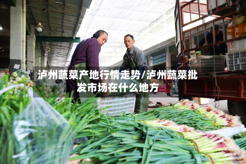 泸州蔬菜产地行情走势/泸州蔬菜批发市场在什么地方-第3张图片