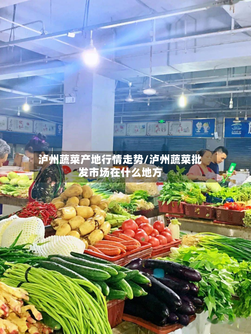 泸州蔬菜产地行情走势/泸州蔬菜批发市场在什么地方-第2张图片