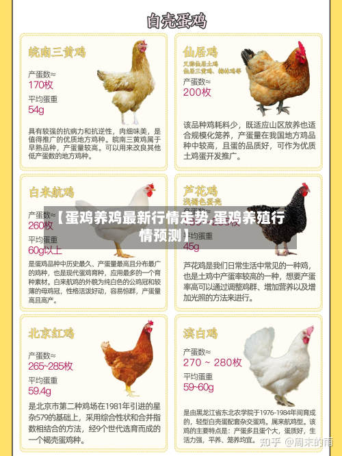 【蛋鸡养鸡最新行情走势,蛋鸡养殖行情预测】-第2张图片