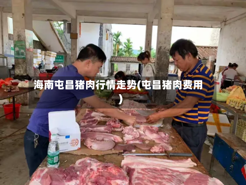 海南屯昌猪肉行情走势(屯昌猪肉费用)-第2张图片