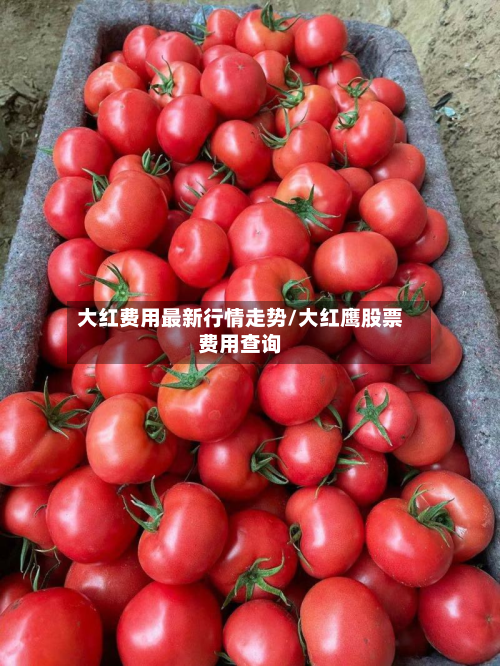 大红费用最新行情走势/大红鹰股票费用查询