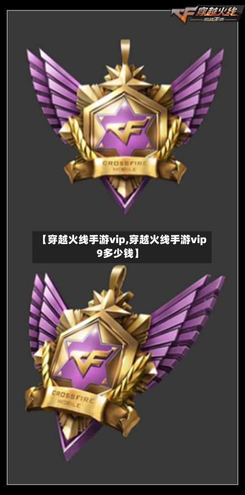 【穿越火线手游vip,穿越火线手游vip9多少钱】-第3张图片