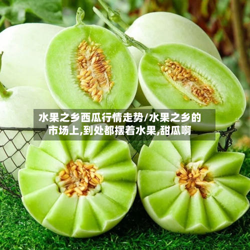 水果之乡西瓜行情走势/水果之乡的市场上,到处都摆着水果,甜瓜啊-第2张图片