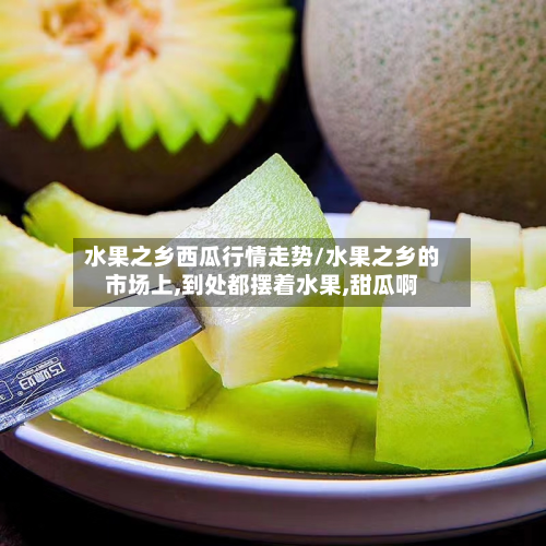 水果之乡西瓜行情走势/水果之乡的市场上,到处都摆着水果,甜瓜啊
