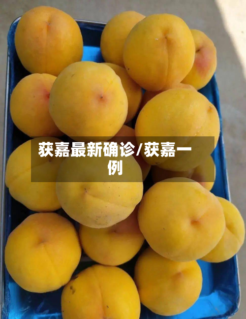 获嘉最新确诊/获嘉一例-第2张图片