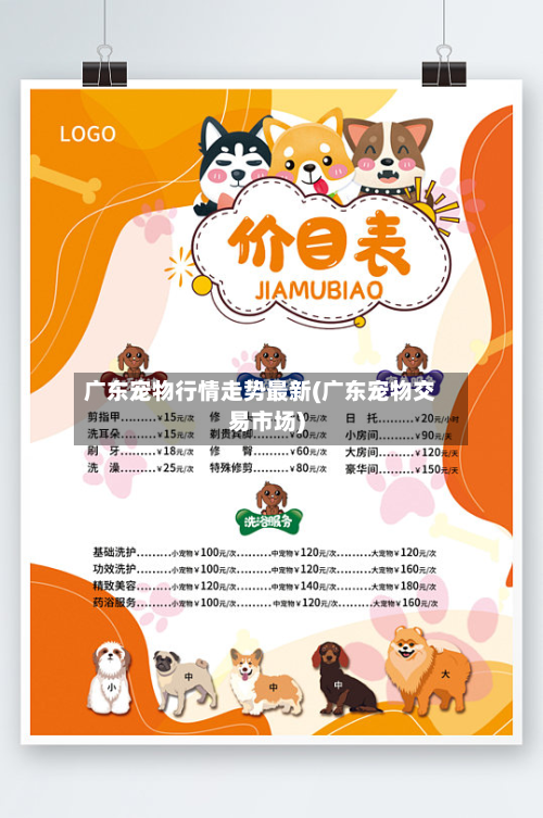 广东宠物行情走势最新(广东宠物交易市场)-第2张图片