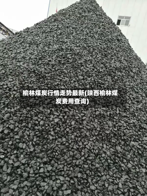 榆林煤炭行情走势最新(陕西榆林煤炭费用查询)-第2张图片