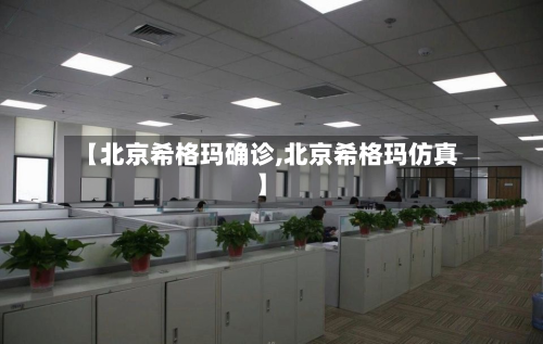 【北京希格玛确诊,北京希格玛仿真】-第3张图片