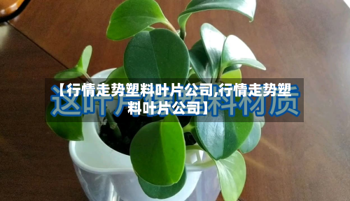 【行情走势塑料叶片公司,行情走势塑料叶片公司】-第2张图片