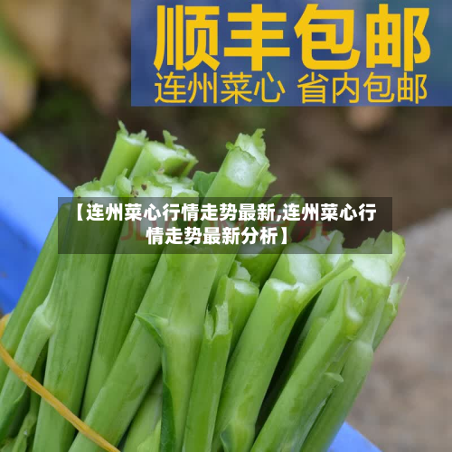 【连州菜心行情走势最新,连州菜心行情走势最新分析】-第2张图片