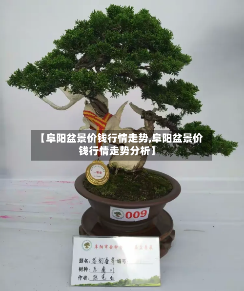 【阜阳盆景价钱行情走势,阜阳盆景价钱行情走势分析】-第2张图片