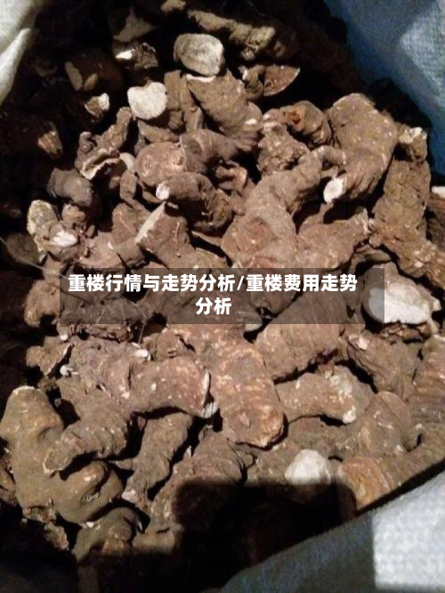 重楼行情与走势分析/重楼费用走势分析-第2张图片