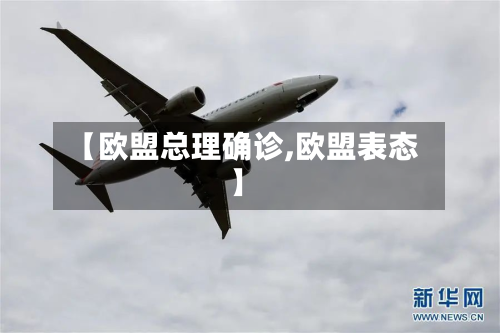 【欧盟总理确诊,欧盟表态】-第3张图片