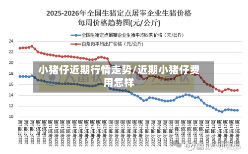 小猪仔近期行情走势/近期小猪仔费用怎样-第2张图片