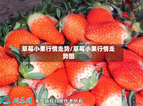 草莓小果行情走势/草莓小果行情走势图