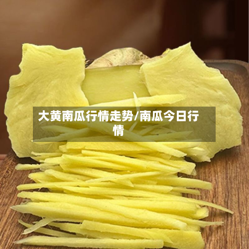 大黄南瓜行情走势/南瓜今日行情