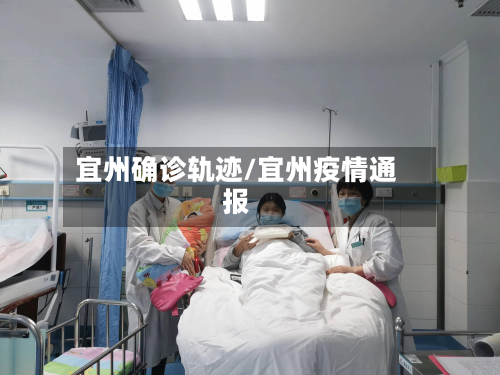 宜州确诊轨迹/宜州疫情通报-第3张图片