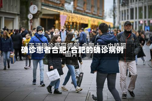 确诊患者合肥/合肥的确诊病例