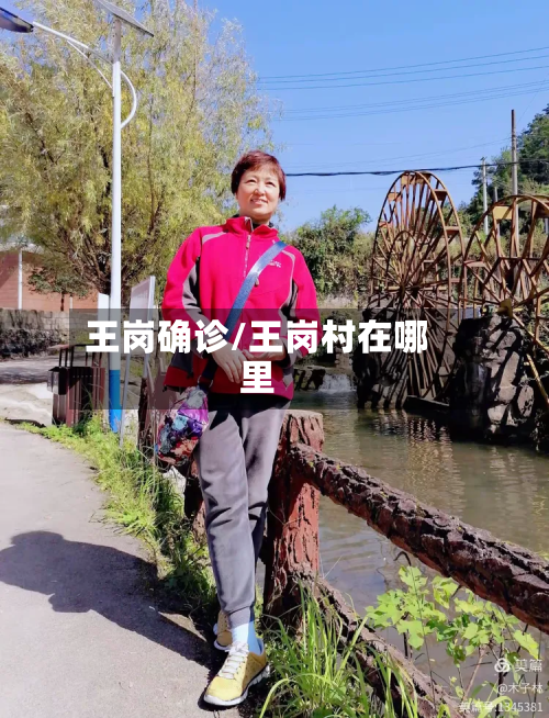 王岗确诊/王岗村在哪里