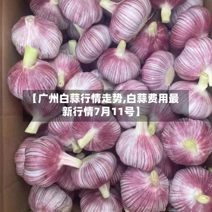 【广州白蒜行情走势,白蒜费用最新行情7月11号】