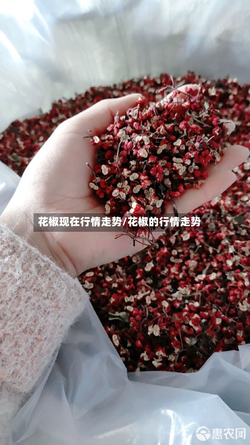 花椒现在行情走势/花椒的行情走势