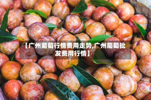 【广州葡萄行情费用走势,广州葡萄批发费用行情】