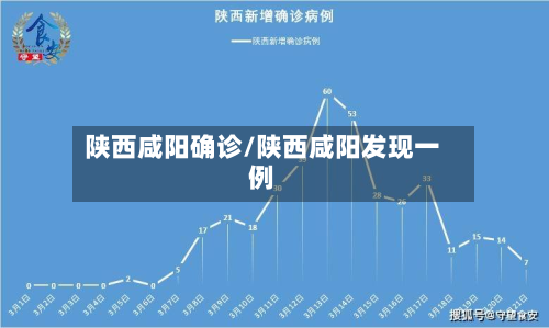 陕西咸阳确诊/陕西咸阳发现一例-第2张图片