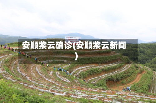 安顺紫云确诊(安顺紫云新闻)