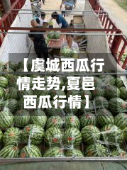 【虞城西瓜行情走势,夏邑西瓜行情】