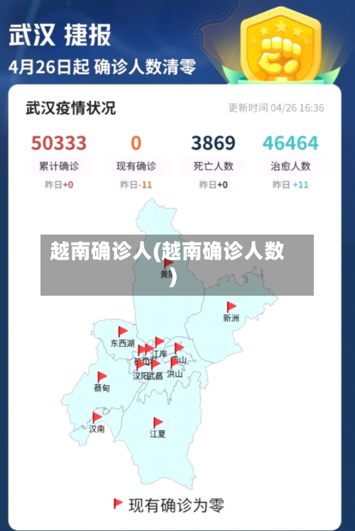 越南确诊人(越南确诊人数)-第2张图片