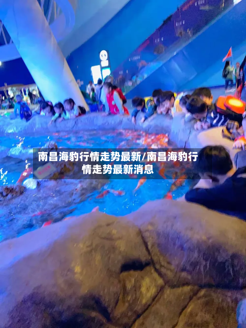 南昌海豹行情走势最新/南昌海豹行情走势最新消息