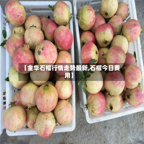 【金华石榴行情走势最新,石榴今日费用】-第2张图片