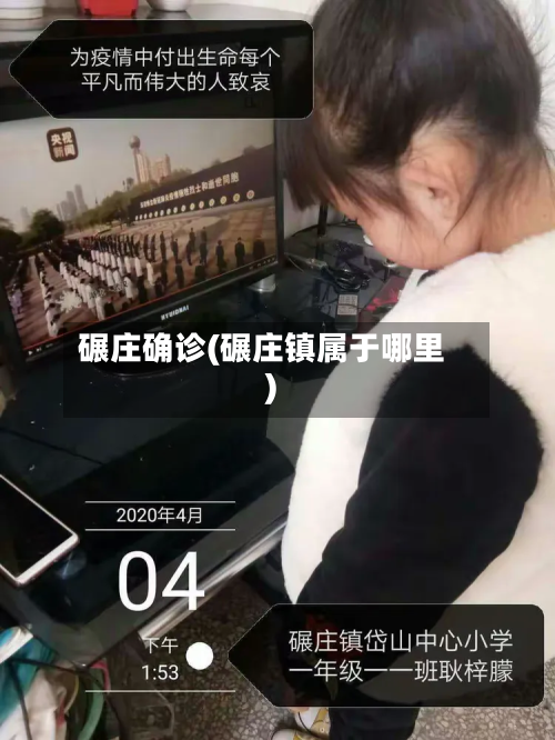 碾庄确诊(碾庄镇属于哪里)