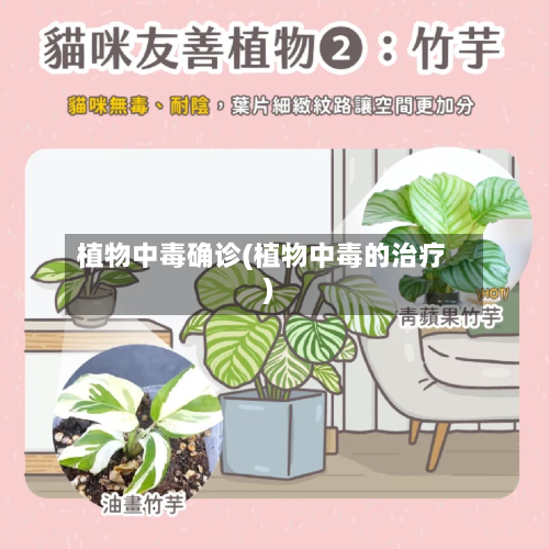 植物中毒确诊(植物中毒的治疗)