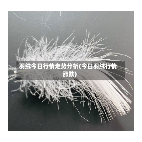 羽绒今日行情走势分析(今日羽绒行情涨跌)-第2张图片