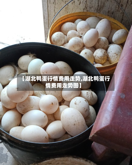 【湖北鸭蛋行情费用走势,湖北鸭蛋行情费用走势图】-第2张图片