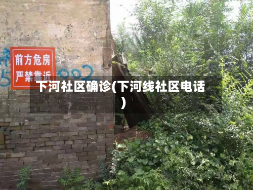 下河社区确诊(下河线社区电话)-第2张图片