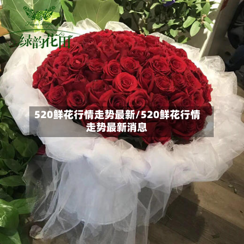 520鲜花行情走势最新/520鲜花行情走势最新消息-第2张图片