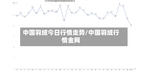 中国羽绒今日行情走势/中国羽绒行情金网-第3张图片