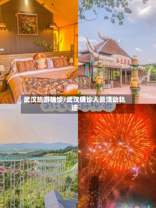 武汉旅游确诊/武汉确诊人员活动轨迹-第2张图片