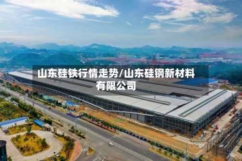 山东硅铁行情走势/山东硅钢新材料有限公司-第2张图片