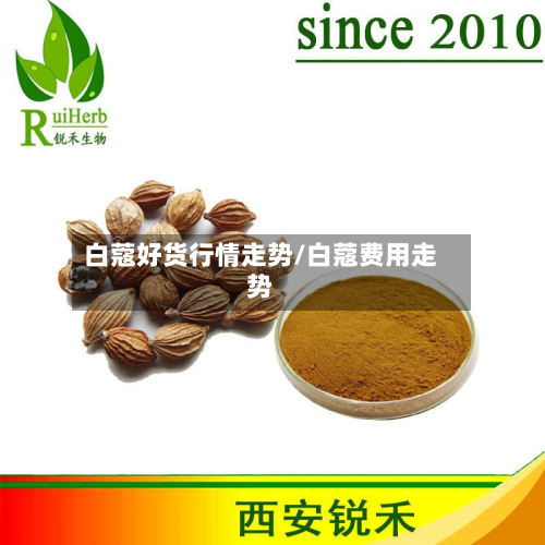 白蔻好货行情走势/白蔻费用走势