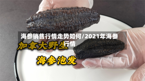 海参销售行情走势如何/2021年海参行情-第2张图片
