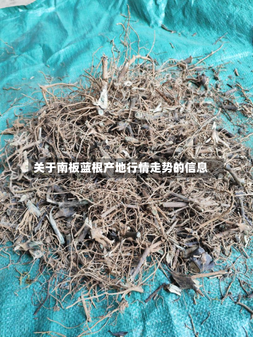 关于南板蓝根产地行情走势的信息