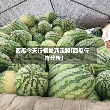 西瓜今天行情最新走势(西瓜行情分析)