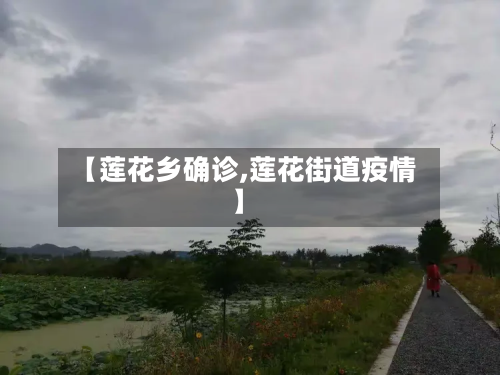 【莲花乡确诊,莲花街道疫情】