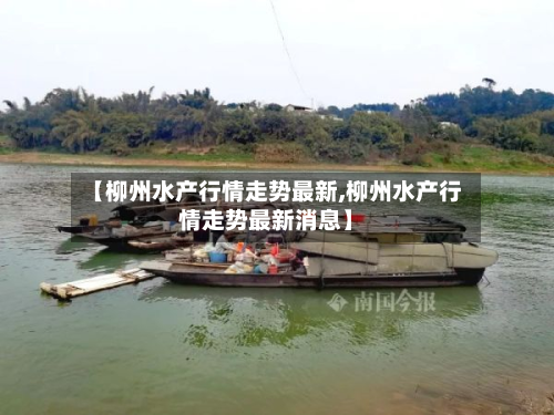 【柳州水产行情走势最新,柳州水产行情走势最新消息】-第1张图片