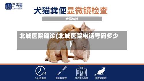 北城医院确诊(北城医院电话号码多少)-第2张图片