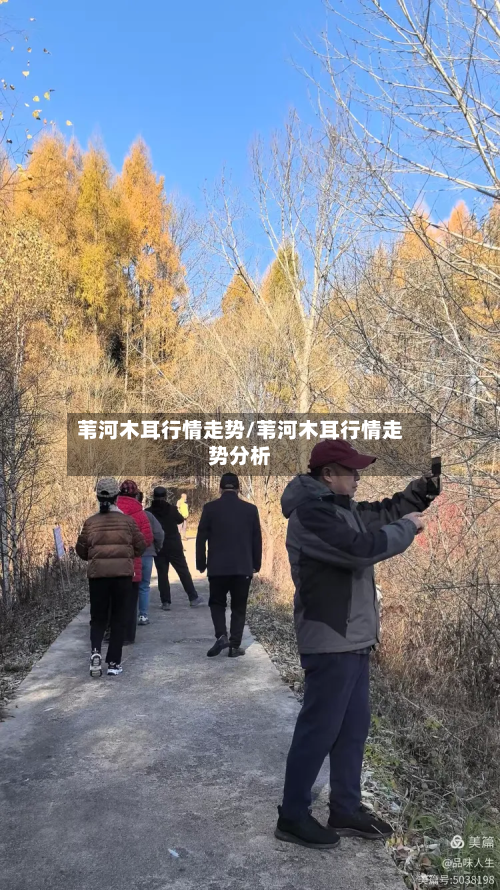 苇河木耳行情走势/苇河木耳行情走势分析-第2张图片