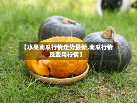 【水果南瓜行情走势最新,南瓜行情及费用行情】-第2张图片
